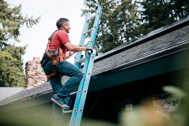 Best Skylights  in Woodville, OH