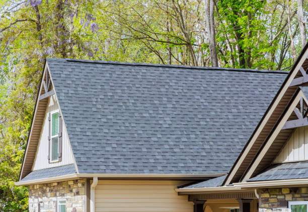 Best Roof Replacement  in Woodville, OH